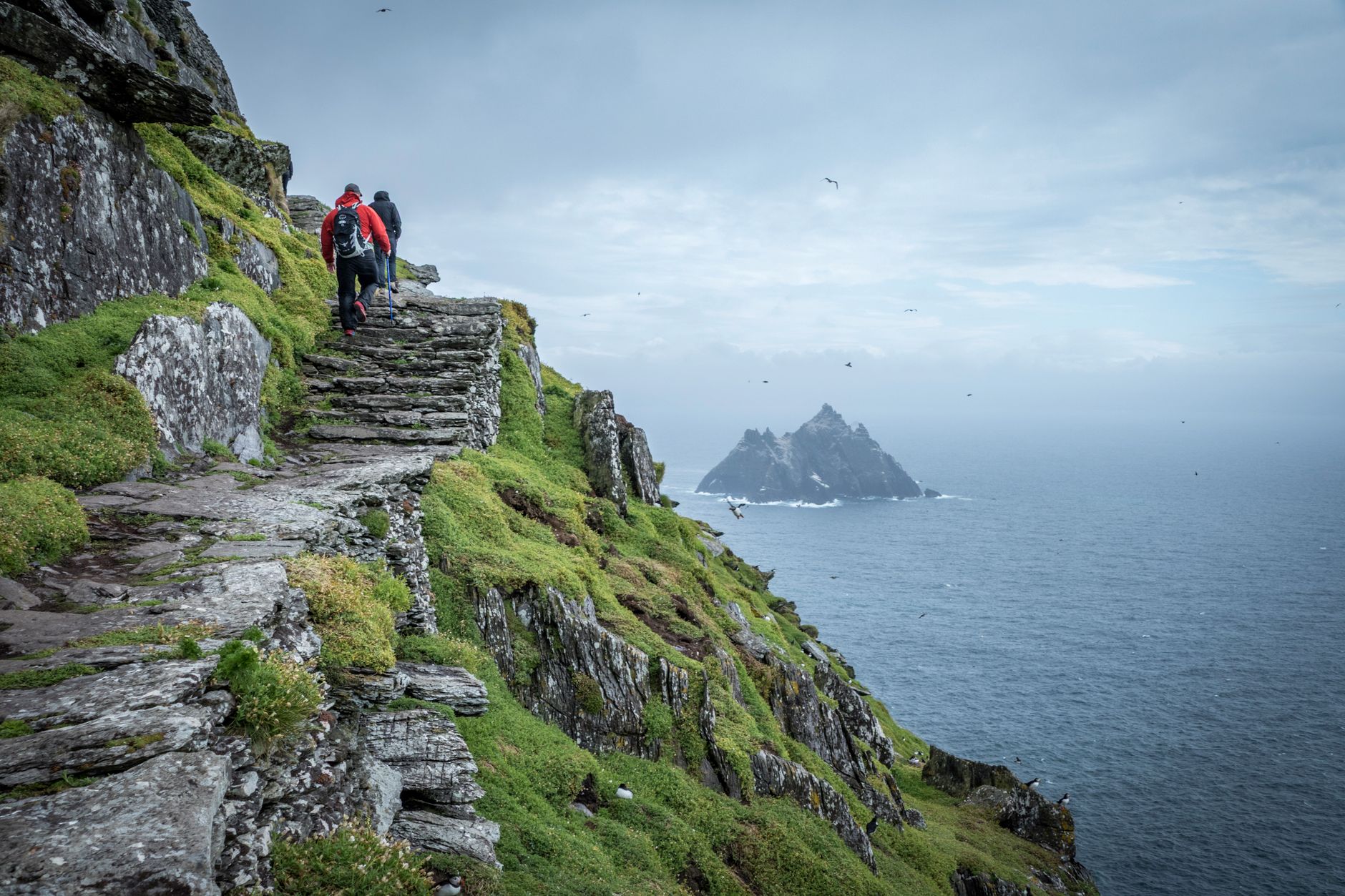 Walkers picking their way up a rough drystone stair on Skellig Michael with Little Skellig in the sea beyond