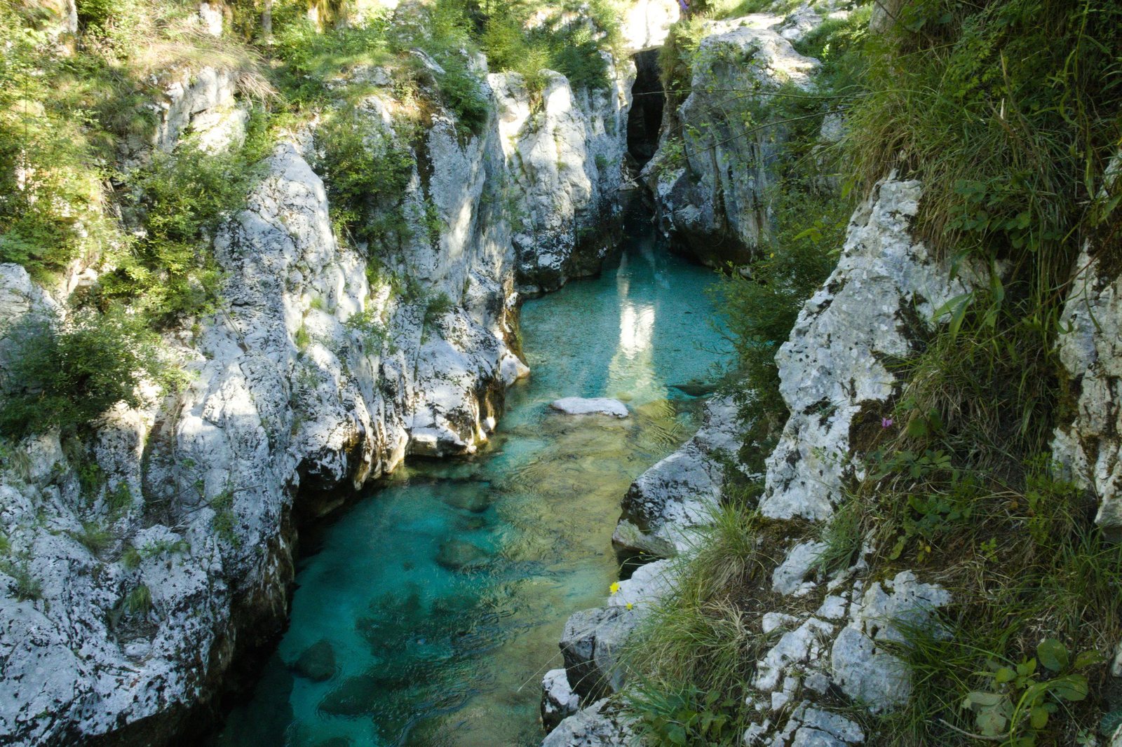 The Soča river running turquoise through a narrow white limestone gorge near Bovec, with trees on the rim