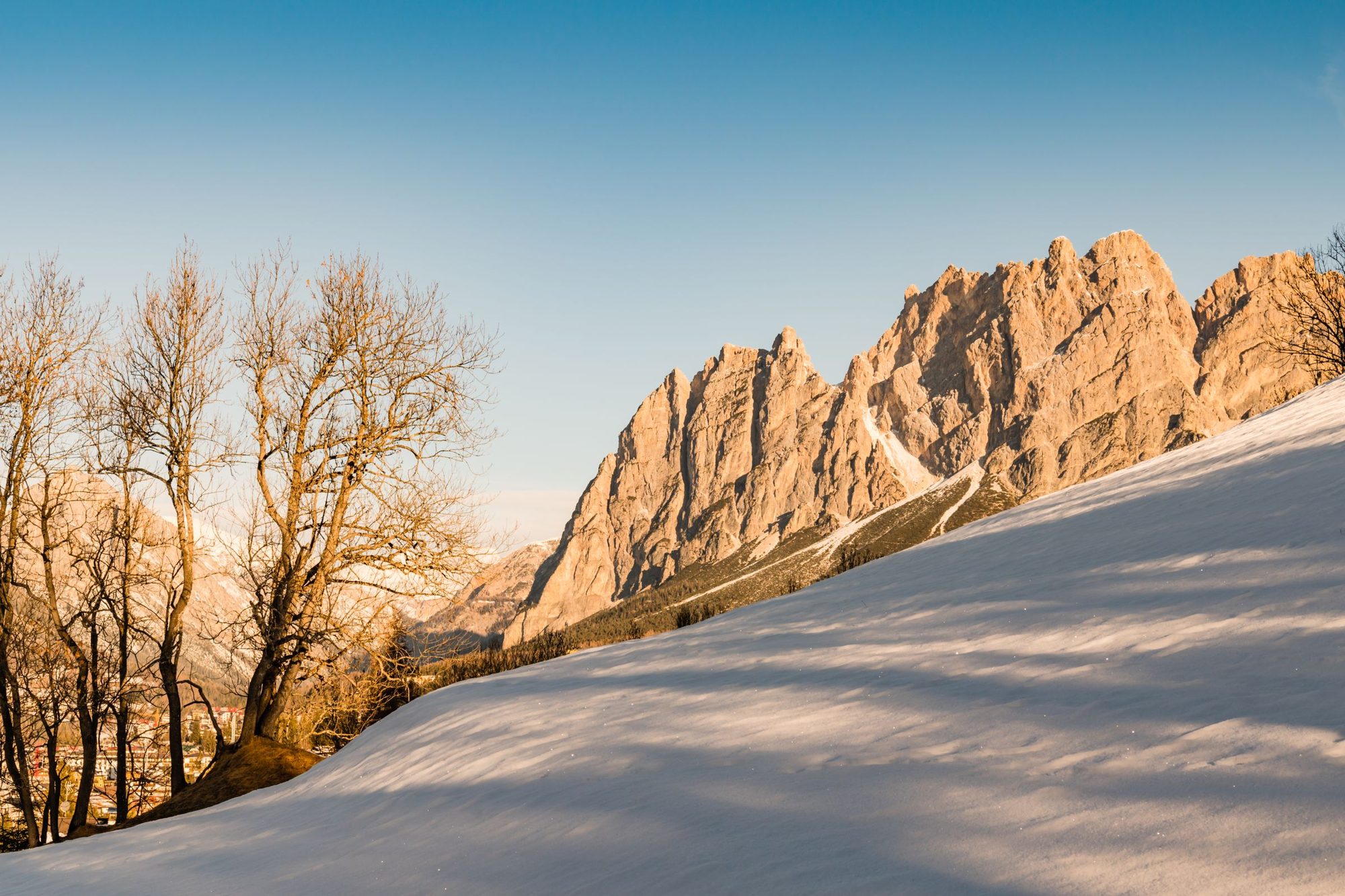 The Pomagagnon ridge above Cortina d'Ampezzo in winter sun, over a snow slope and bare larches