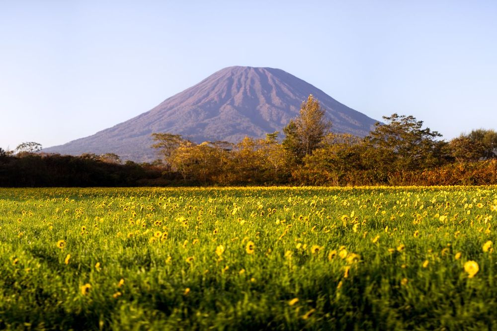 Mount Yōtei