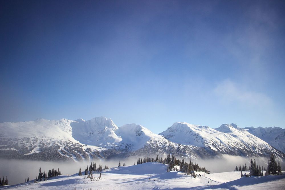 Whistler