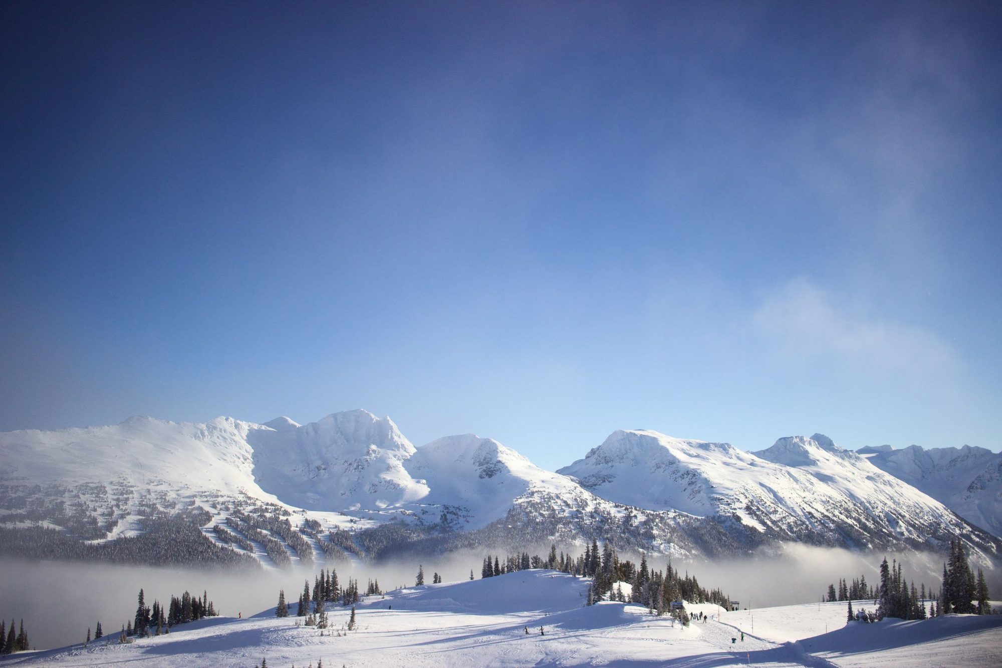 Snow-covered alpine slopes and peaks above the clouds at Whistler under a clear blue sky