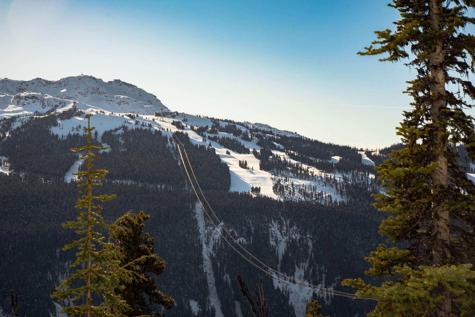 Ski runs cut through the forest on Whistler Blackcomb, with a gondola line climbing toward the snow