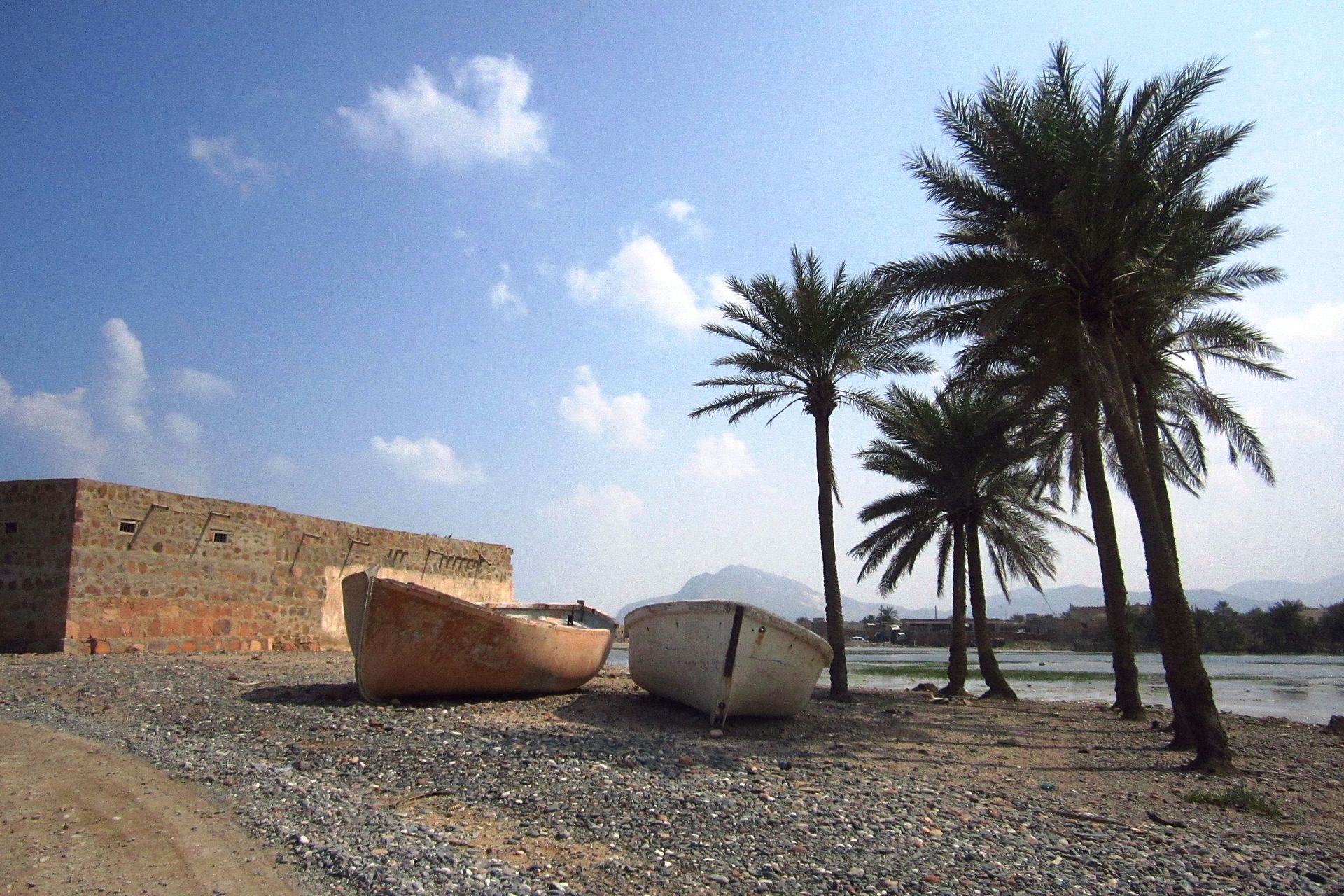 Palms and beached fishing boats on the shore at Hadibo, Socotra