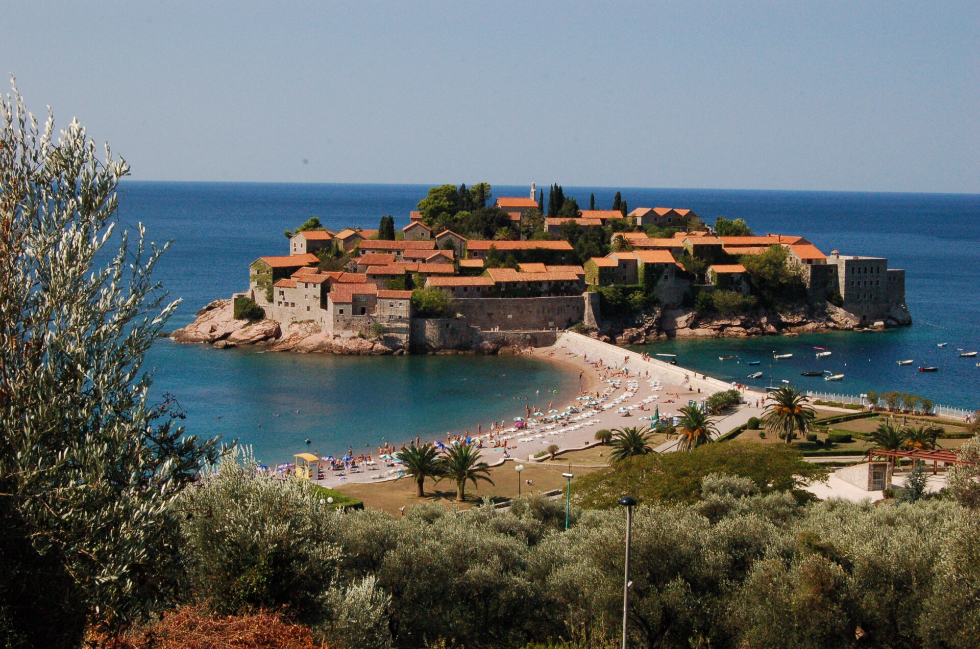 The red-tiled roofs and stone houses of Sveti Stefan seen from a hillside above, with olive branches in the foreground
