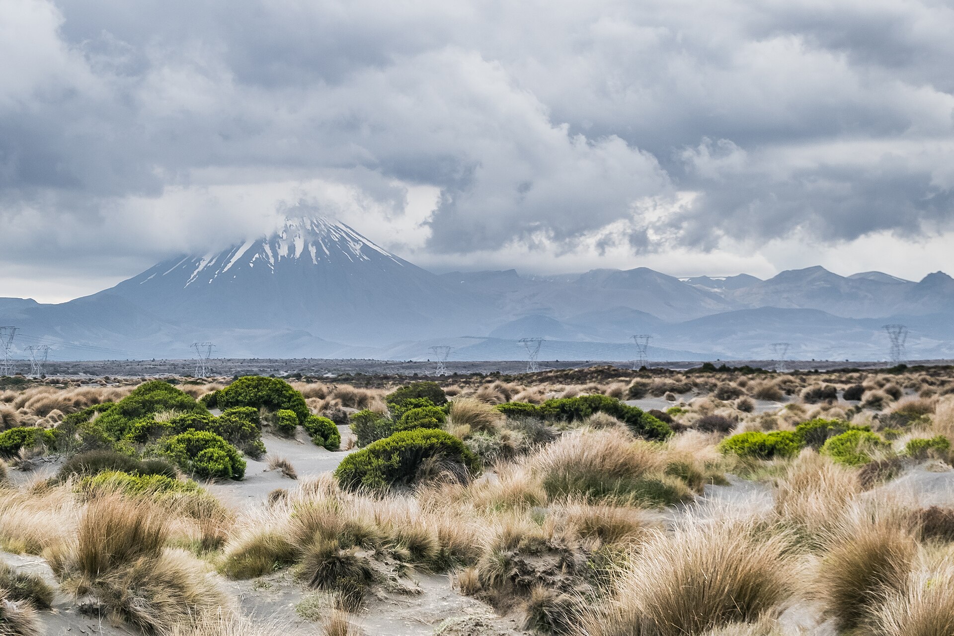 Tussock and scrub of the Rangipo Desert with a snow-dusted volcanic cone under heavy cloud