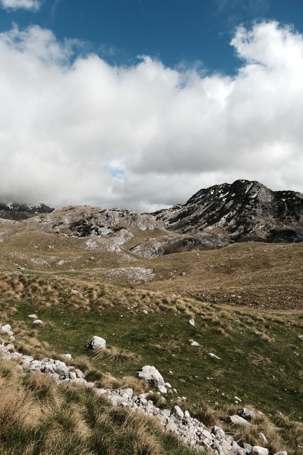 Limestone meadow under a grey ridge in the Durmitor massif