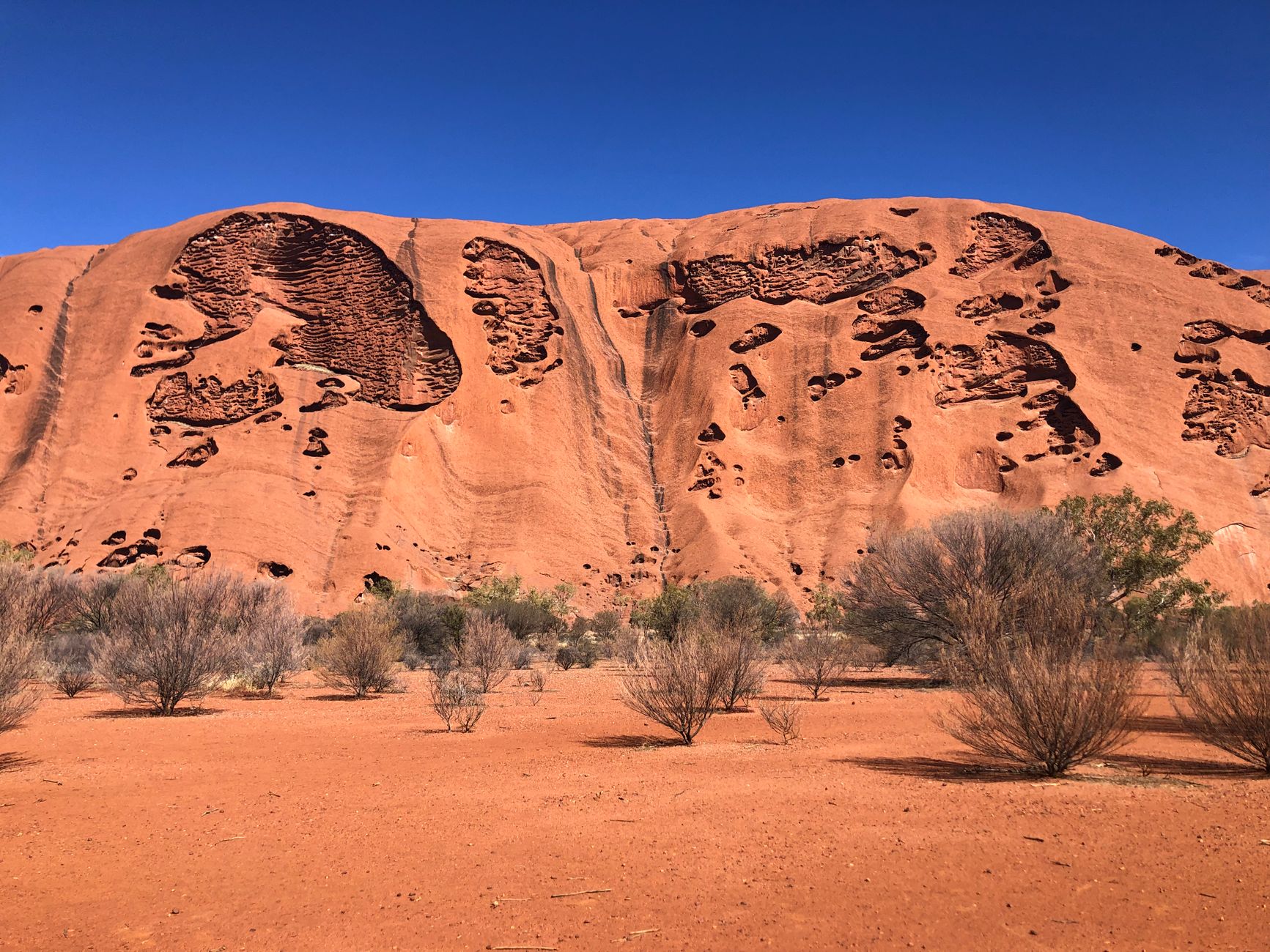The pitted red flank of Uluru at close range, pocked with caves and hollows above low desert bushes