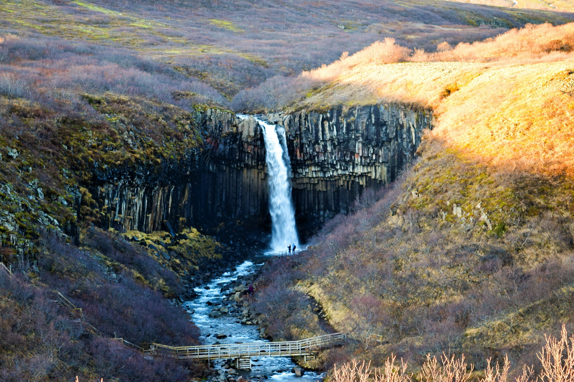 The basalt column waterfall of Svartifoss in its amphitheatre with autumn colour on the slopes, two walkers on a railed platform at the foot of the falls and a footbridge over the stream well downstream