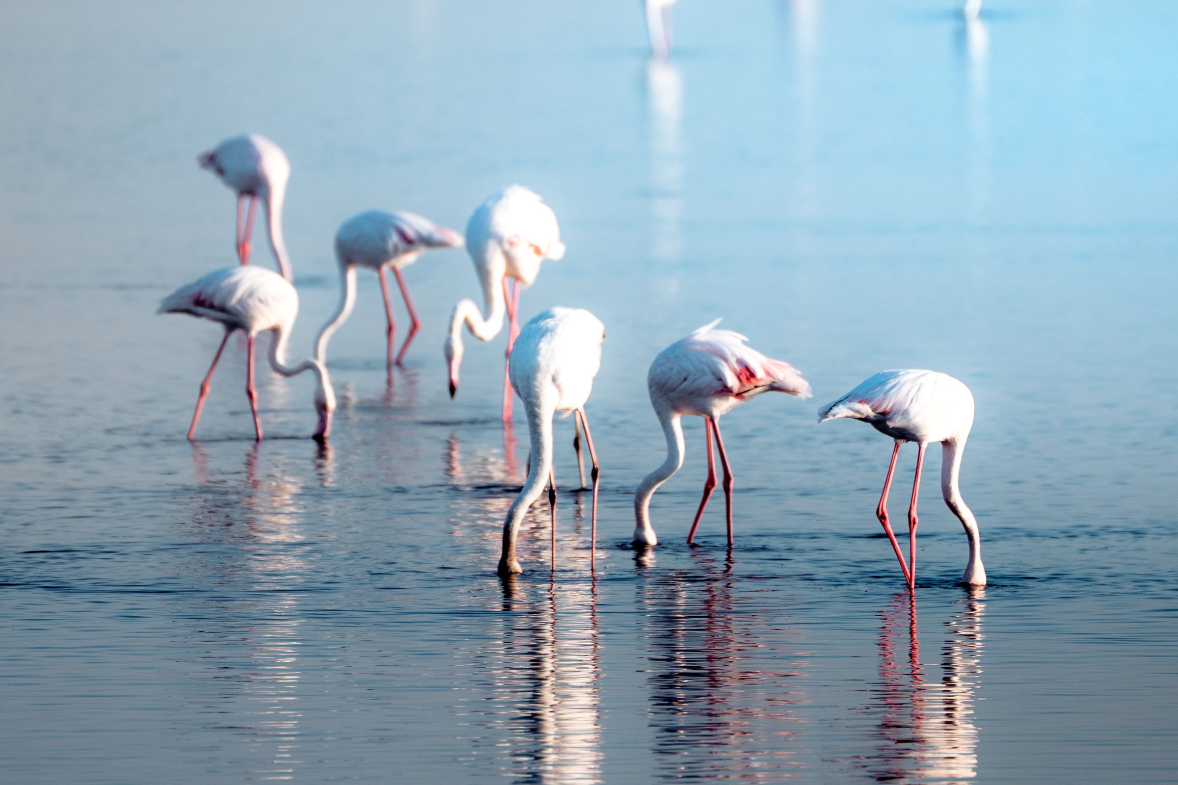 Walvis Bay, Namibia