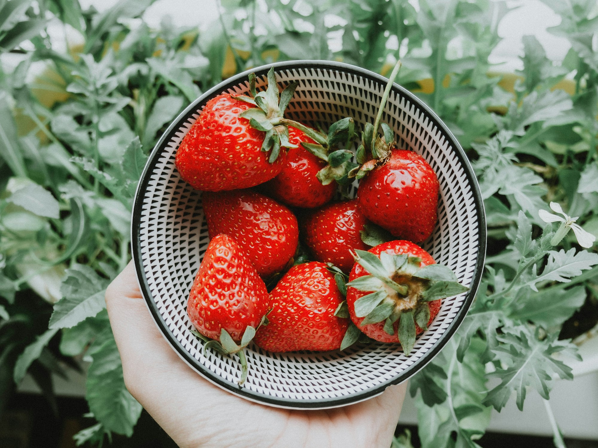 A bowl of strawberries and cream at Wimbledon