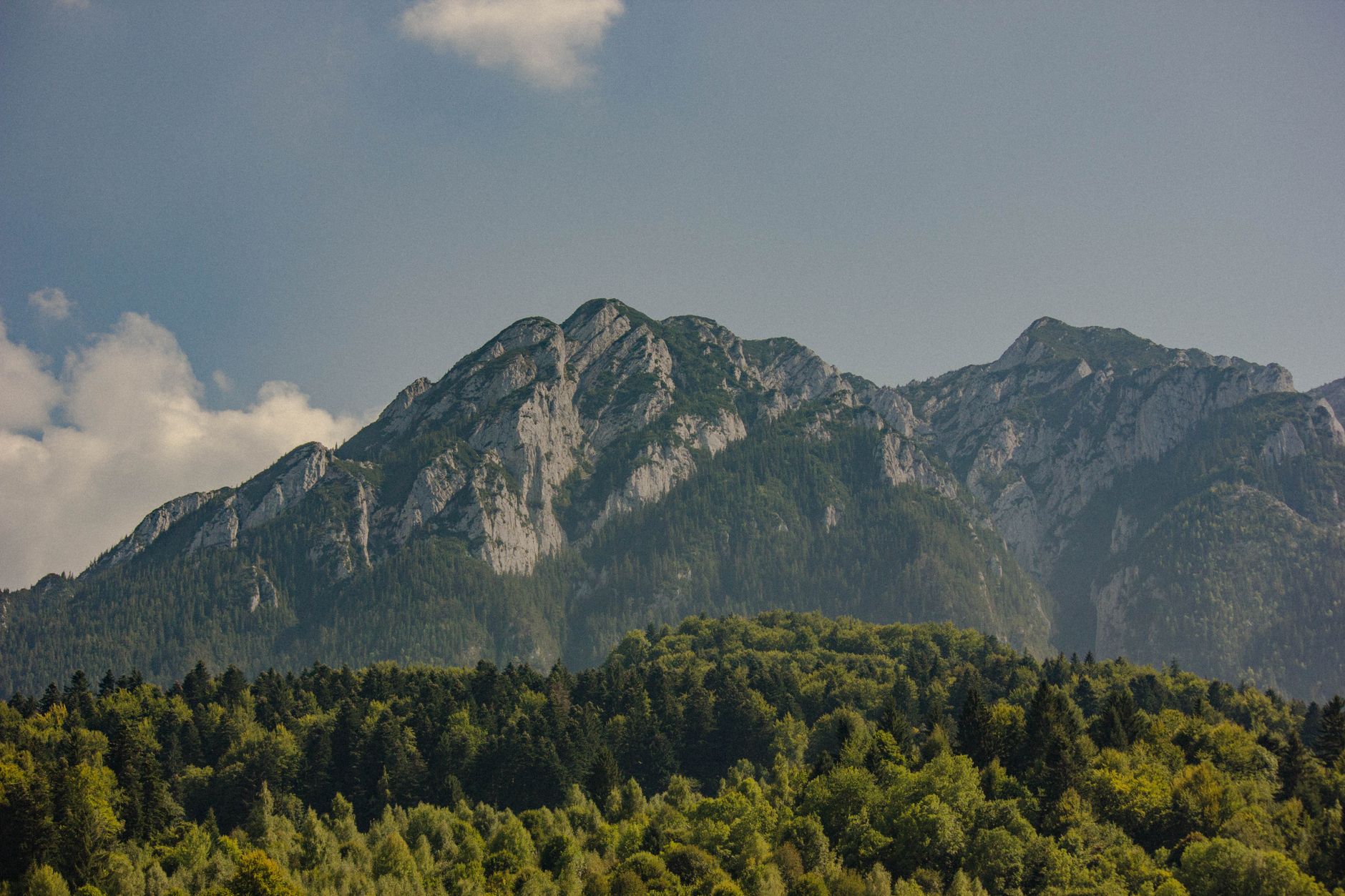 The limestone ridge of the Piatra Craiului rising above unbroken forest under low cloud