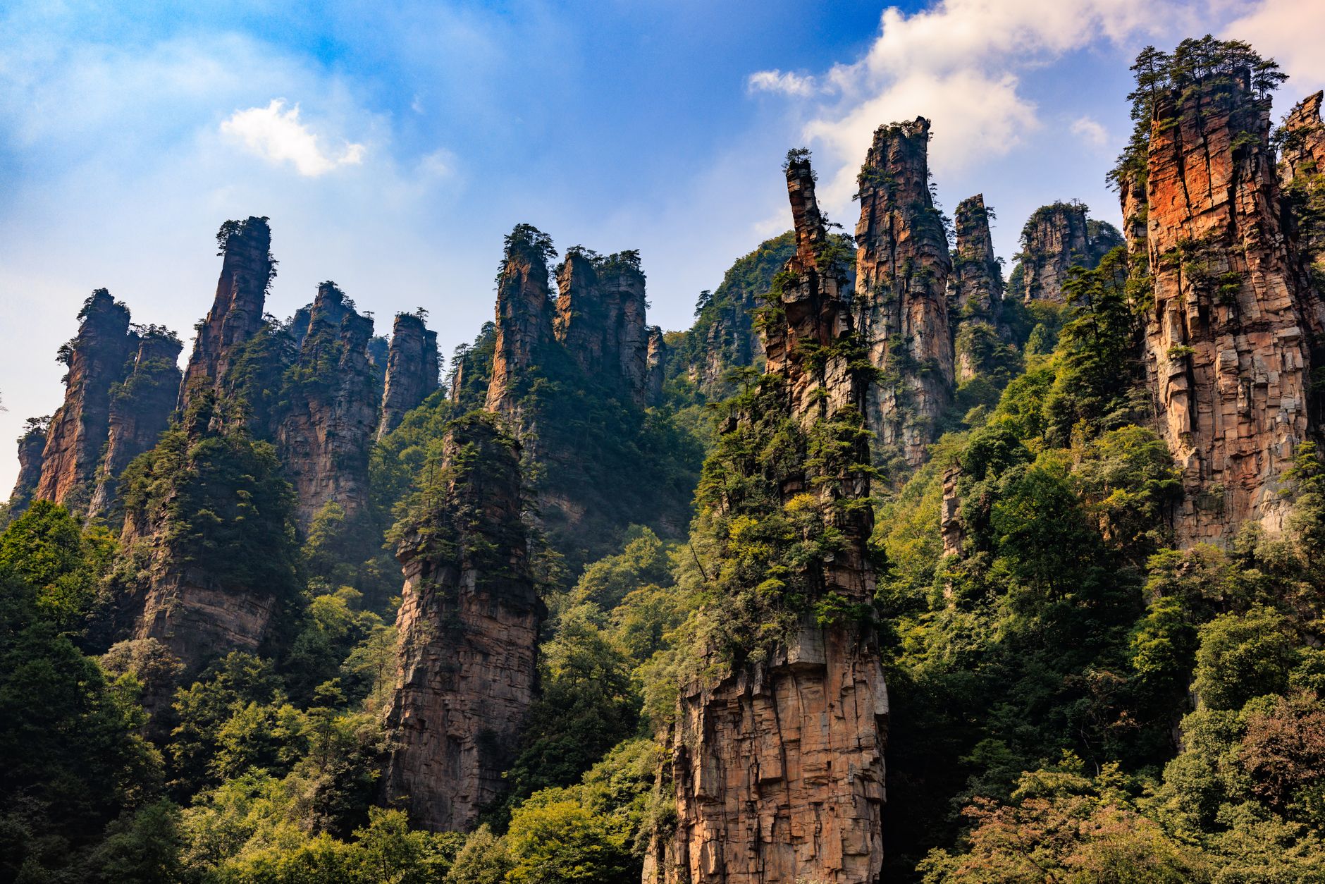 Tall quartz-sandstone columns capped with pine forest under a bright sky in Zhangjiajie